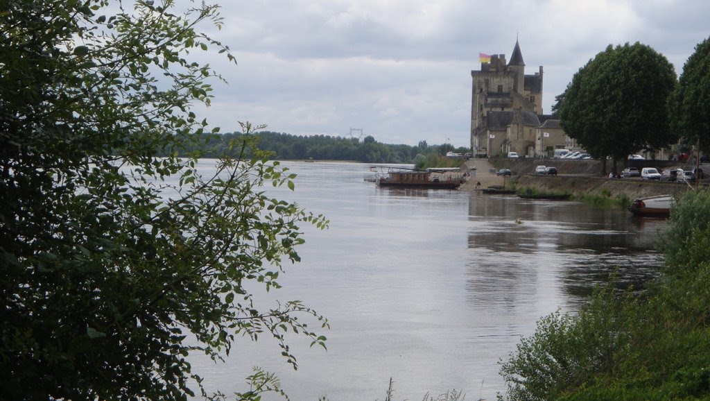 Le château de Montsoreau et la Loire by Eugene68