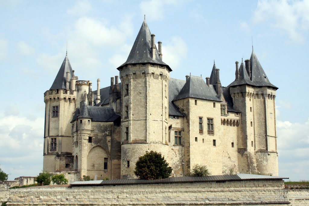 Le château de Saumur by apjjoly