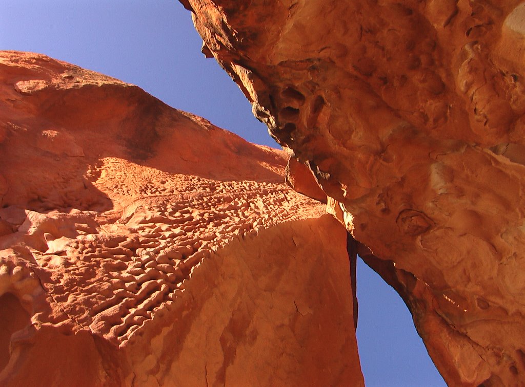 Mushroom Rock by Kellony