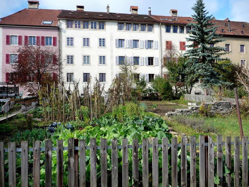 La Chaux-de-Fonds,Rue des Fleurs, côté jardins by Lièvre Georges