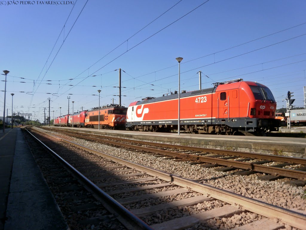 Conjunto de locomotivas paradas na Pampilhosa by cclda(João Pedro Tavares)