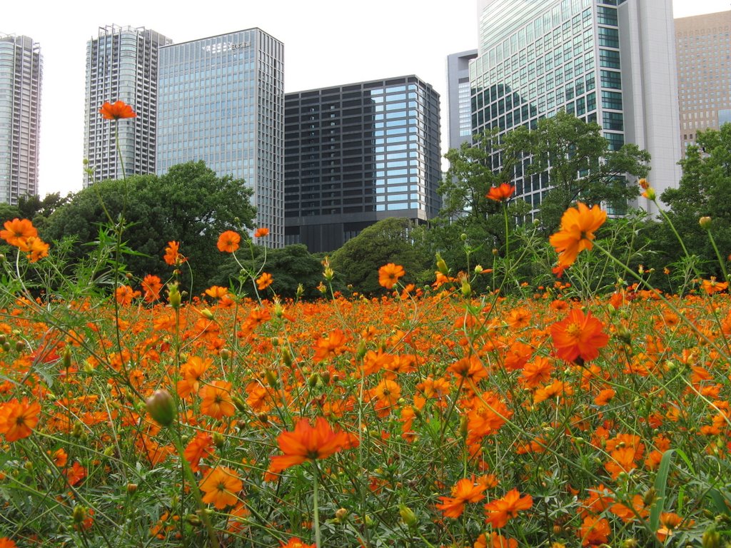 Hamarikyu Garden by Ernst Weidl