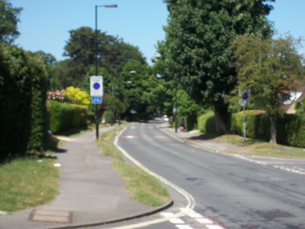 Cliddesden Road, Basingstoke by Robert'sGoogleEarthPictures