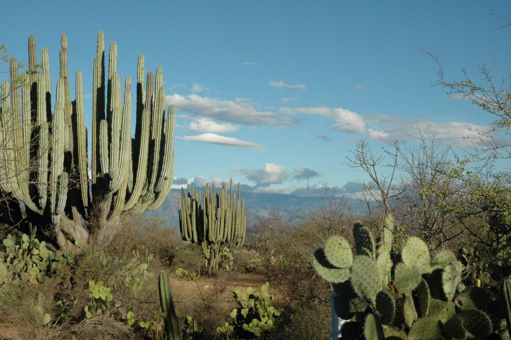 Grensgebied Puebla en Oaxaca by René Speur