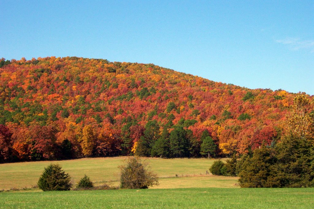 Pilot's Knob Mountain by jeremy_allen