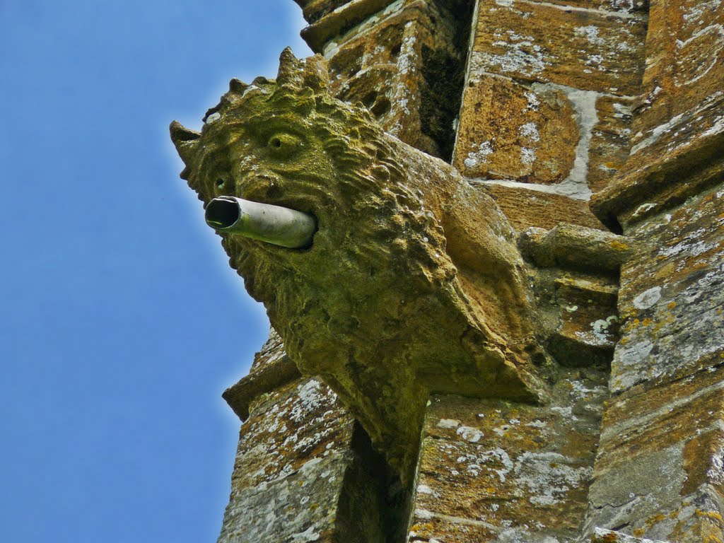 Gargoyle on the tower by Bazliteyear