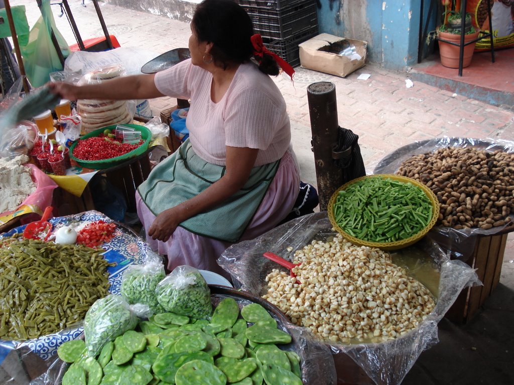 Un puesto tipico en el tianguis de Tonala-- a street store in Tonala by sergiogdl