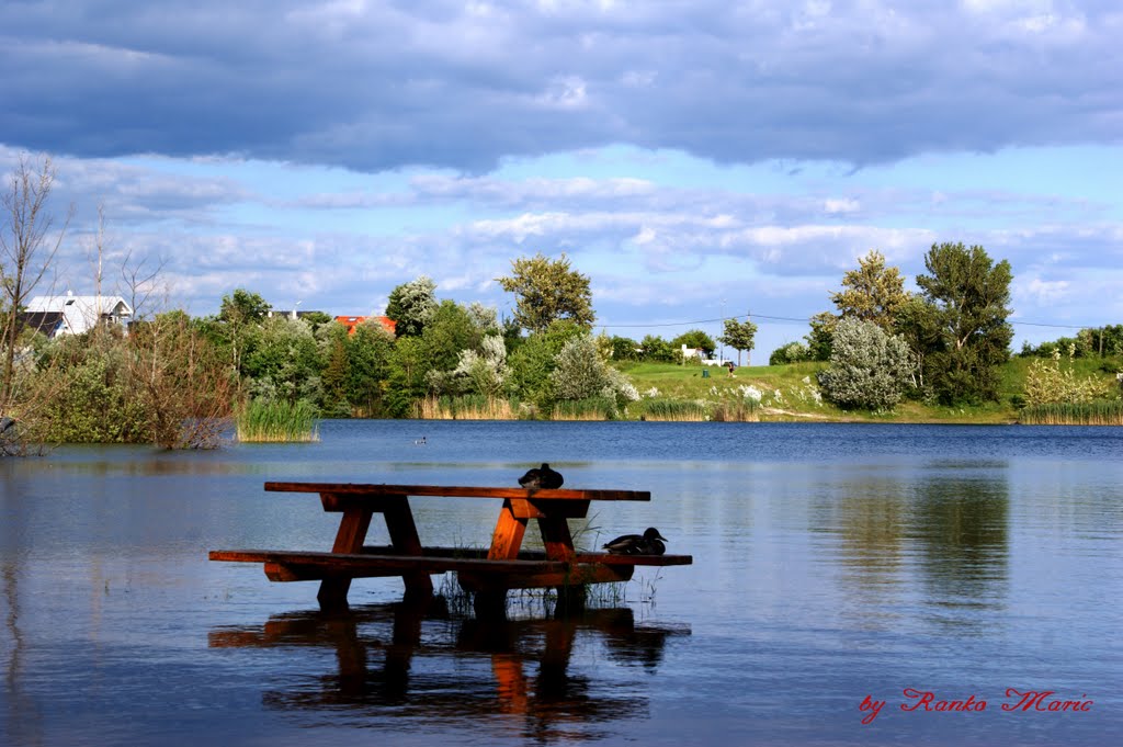 Wasser bis zum Hals by ranko maric