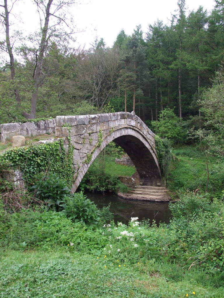 Beggars Bridge, Glaisdale - #2 of 5 by John Goodall