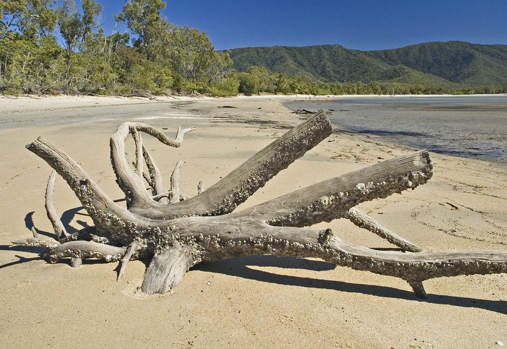 Kewarra Beach by fors0030