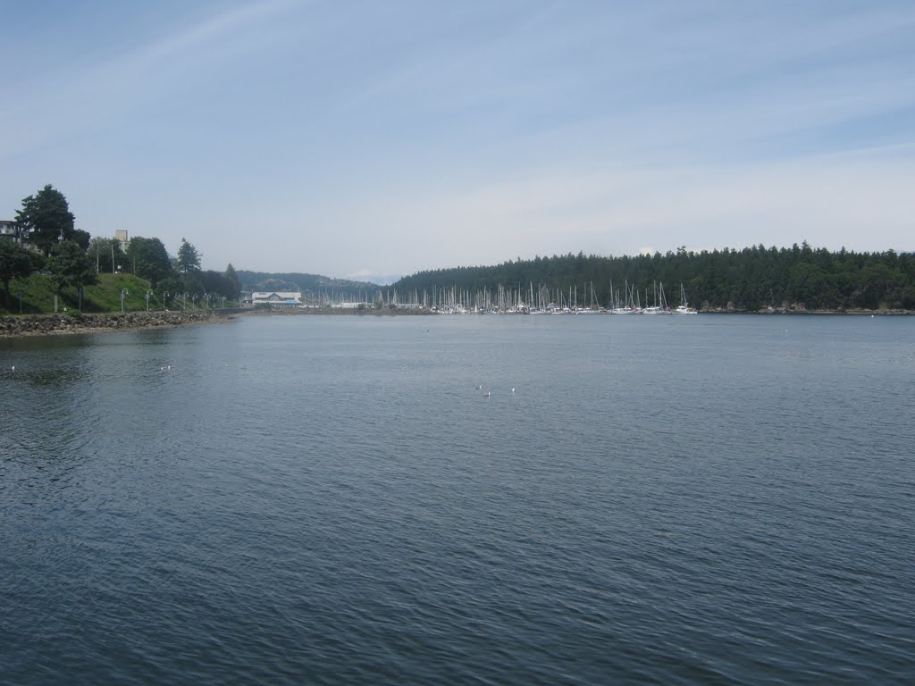 Nanaimo Docks by postmaxin