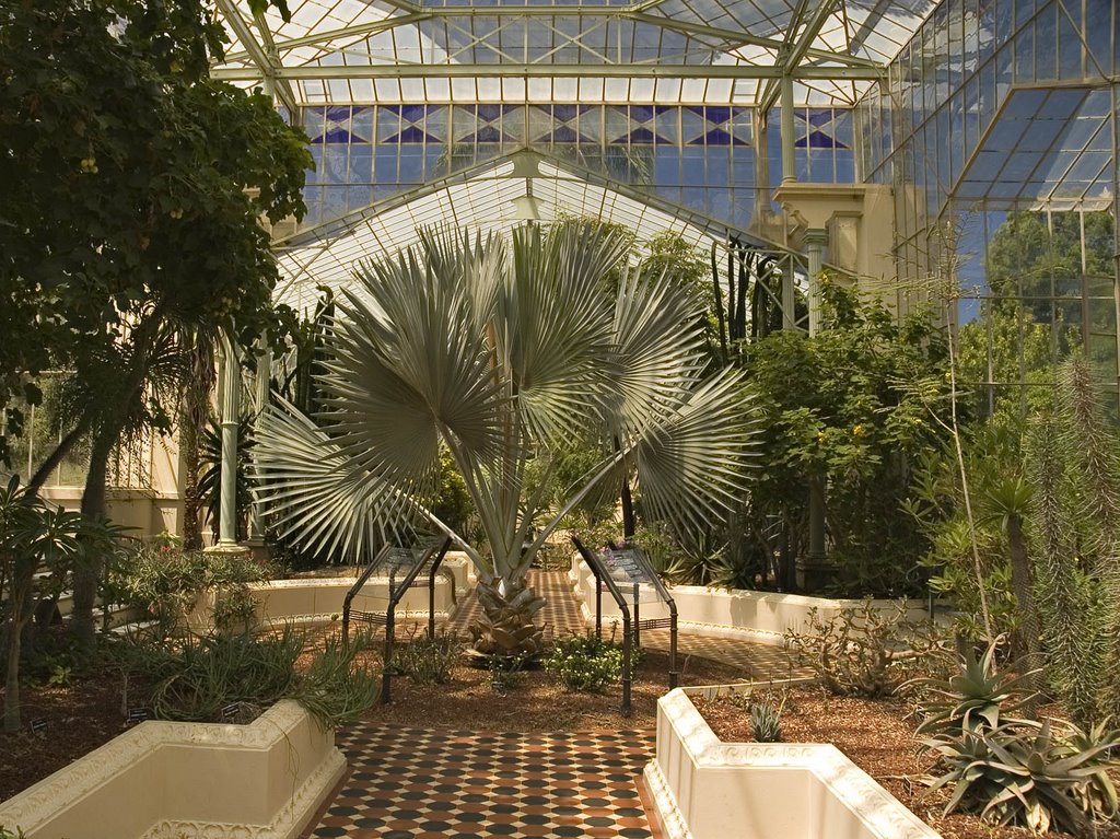 Botanic Gardens Palm House by fors0030