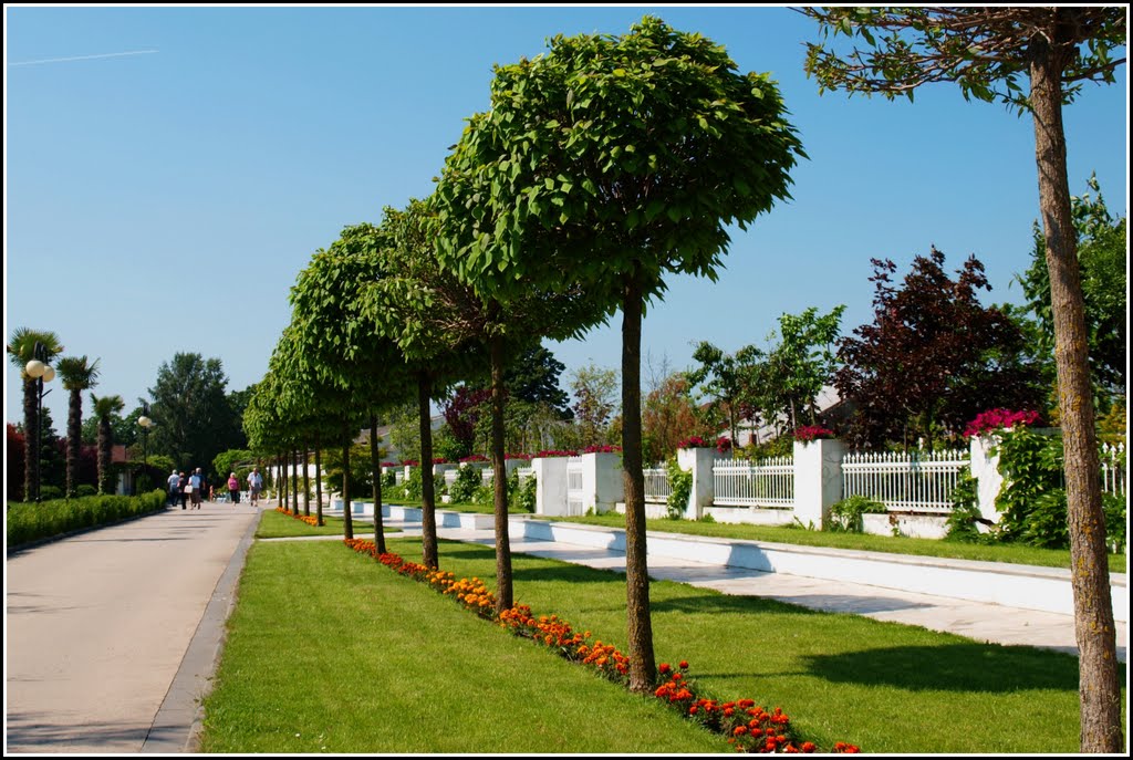 Bystrovany - arboretum-přírodní ráj, by FZ by Zdeněk Friedel