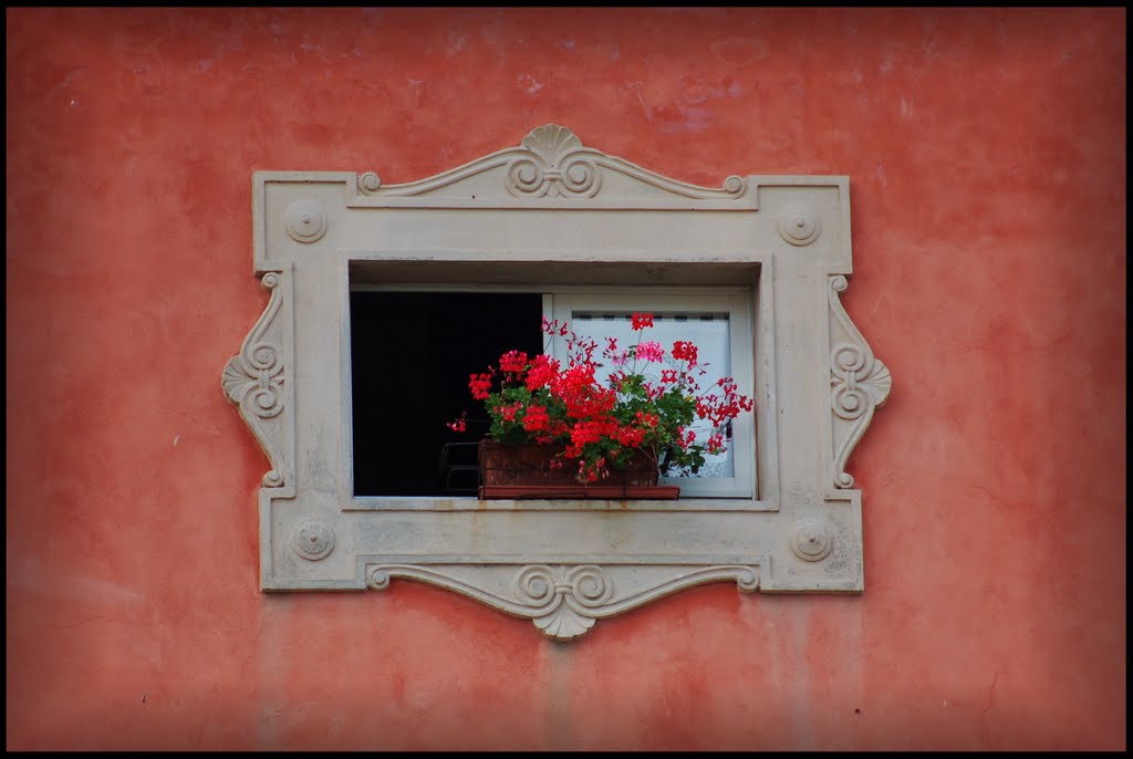 A little window by stefano.m -