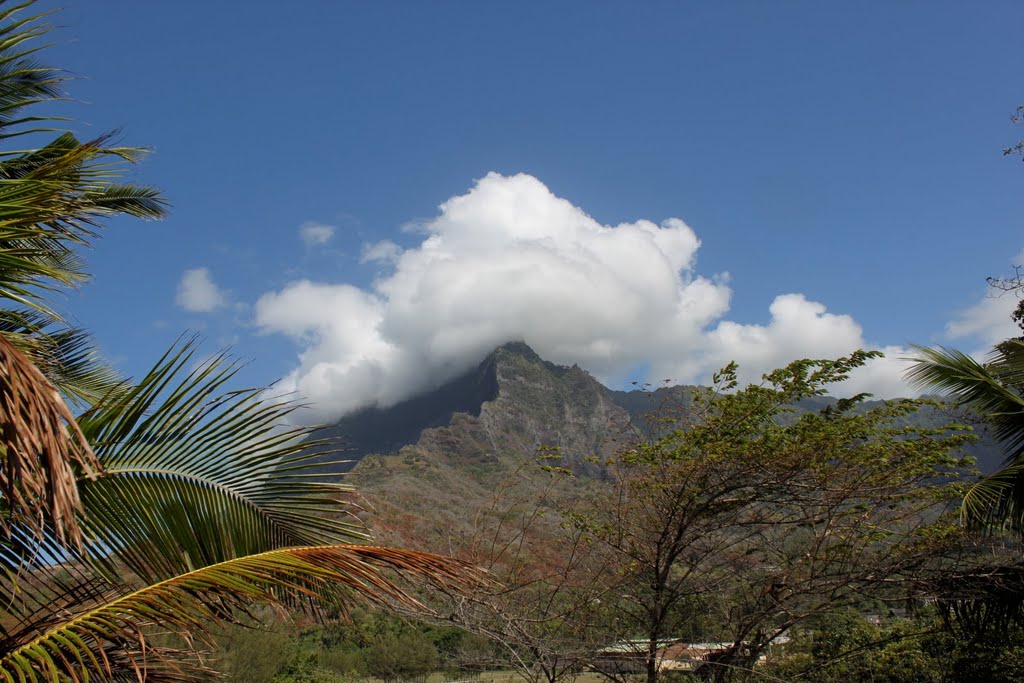 From Atuona - notice signs of drought by Frank Taylor