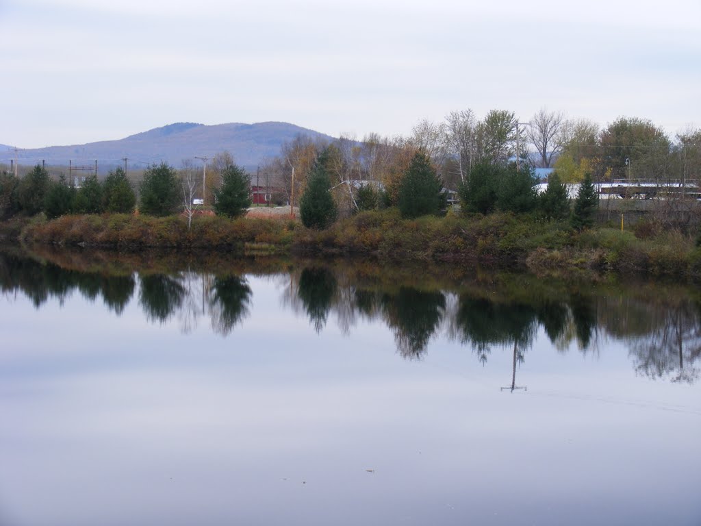 Trees reflected by JBTHEMILKER