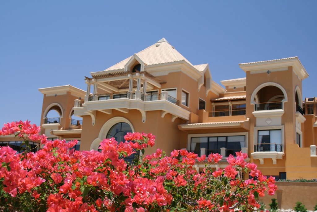 The Cascades Golf & Country Club - Beautiful Bougainvila in front of Cluhouse by Dieter Hoffmann