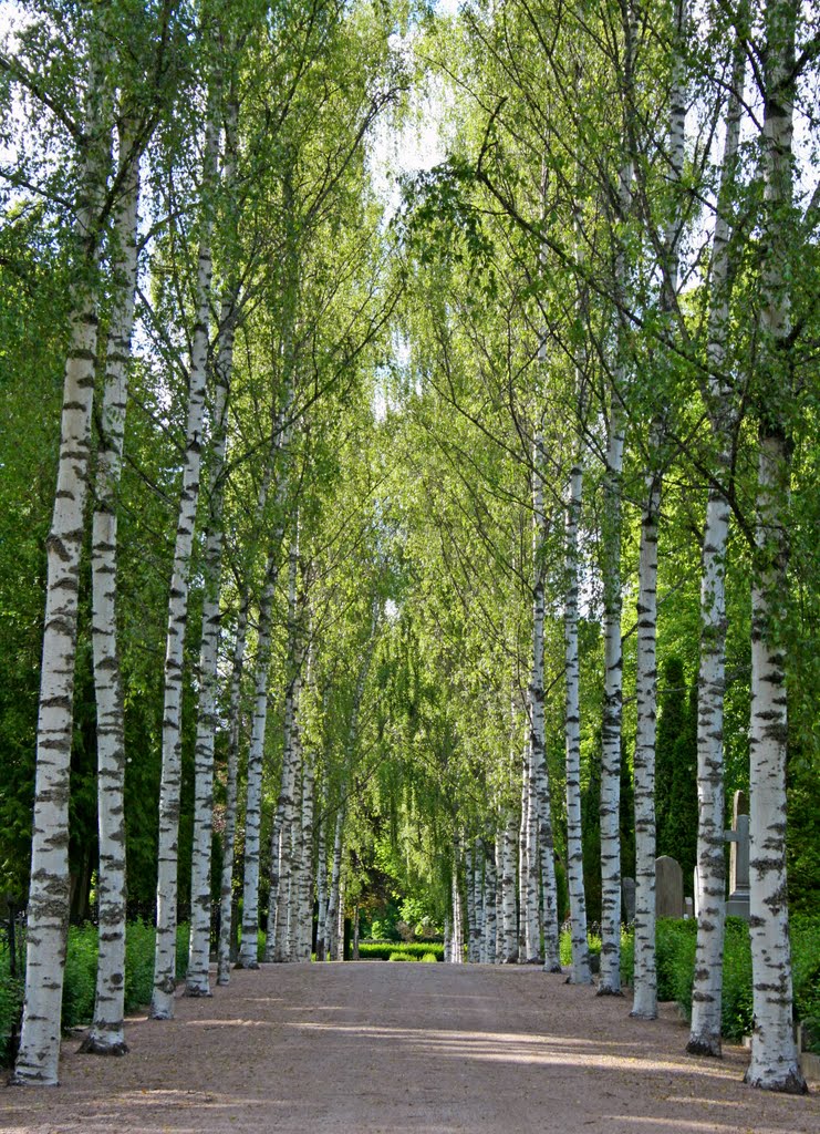 A cemetery in Uppsala by Ingrid9