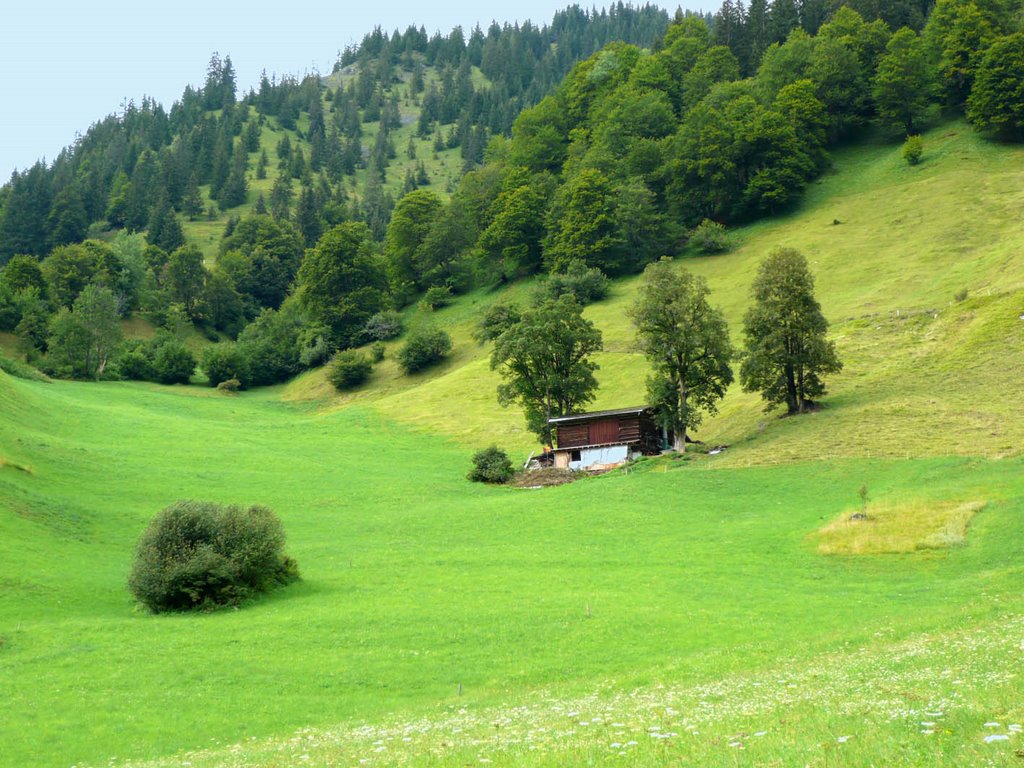 Schluocht bei Monbiel by Urs Simmen