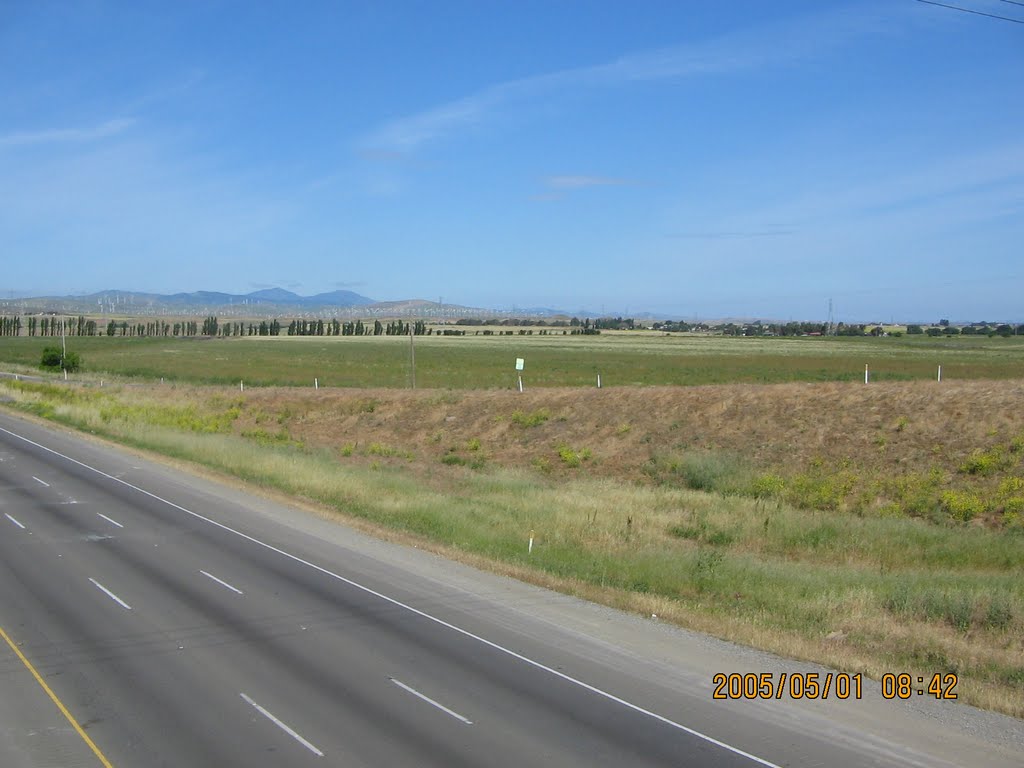 Mount Diablo in the distance from Mountain House exit 5/1/05 by disappointed13