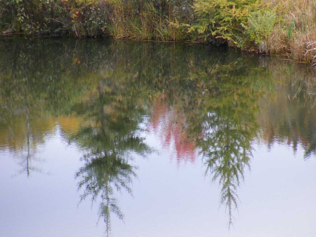 Reflections on water by JBTHEMILKER