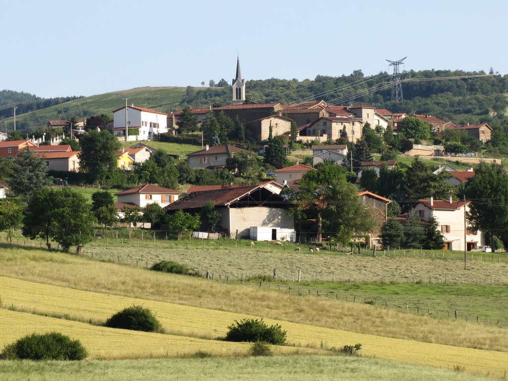 Farnay, vue du nord-ouest by willyberlier