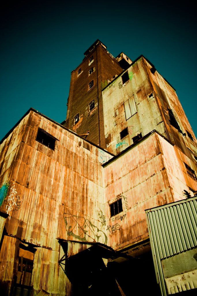 CANADA MALT BUILDING by paulbrutal