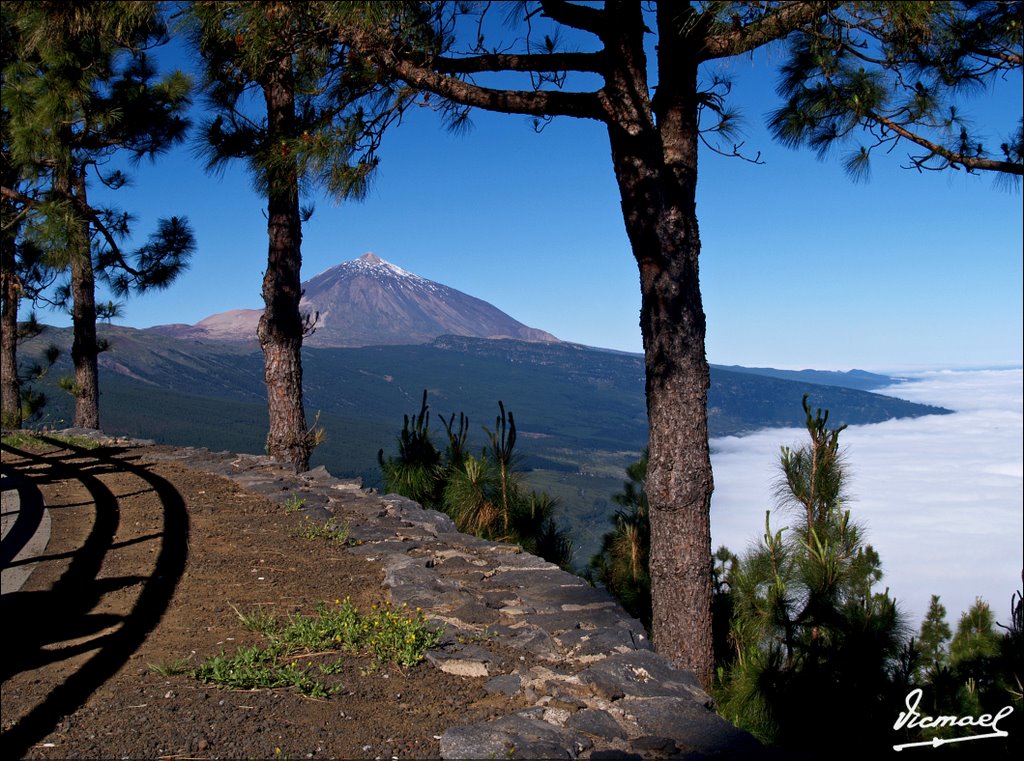 60520-005 TEIDE by VICMAEL