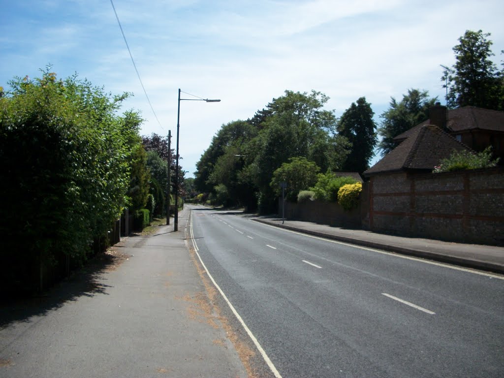 Cliddesden Road by Robert'sGoogleEarthPictures