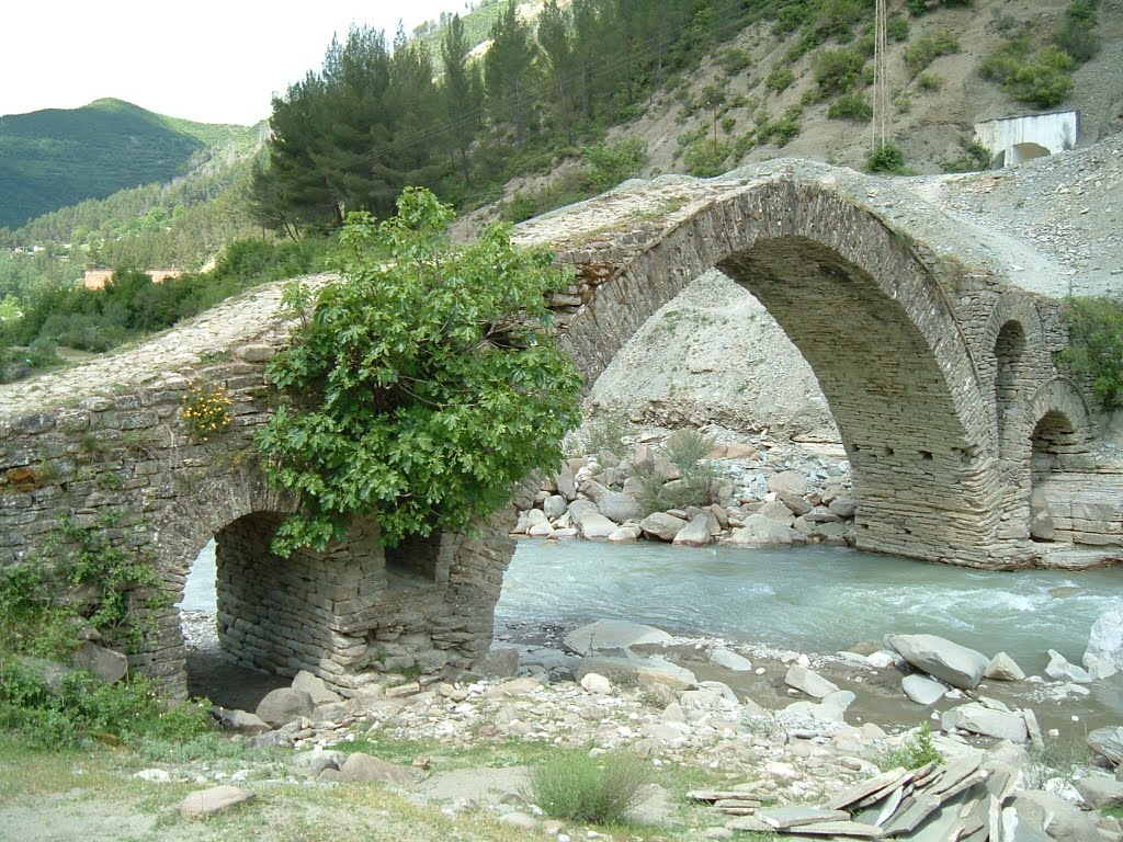 Bridge near Corovode by www.anuch.com