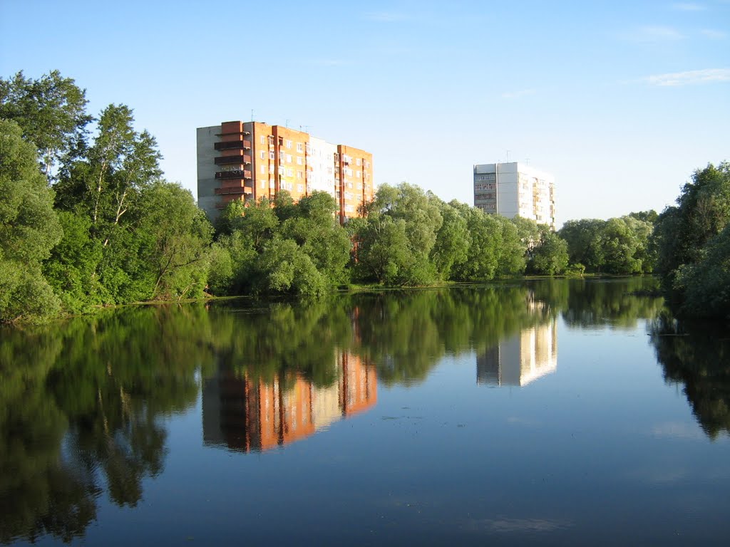 Вид с Горбатого моста на реку Прокоп (лето) by zhrvld