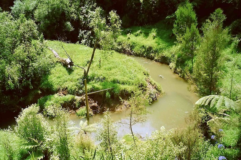 New Zealand, Rotorua, Jan. 2001 by senna3