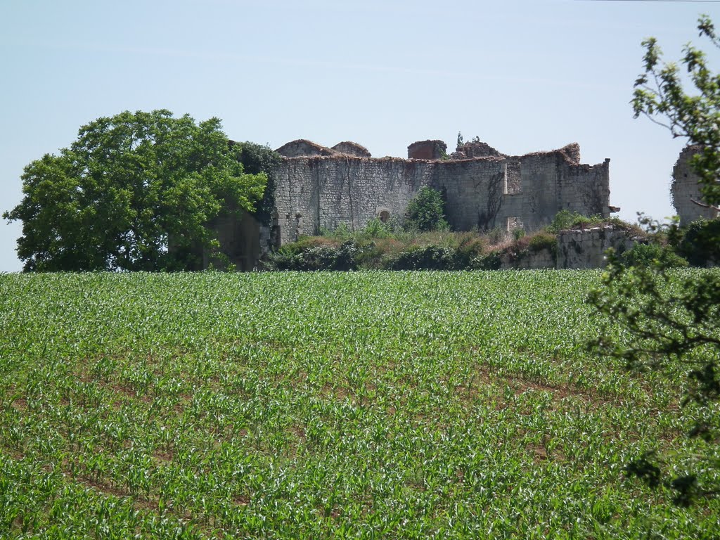 L'ancien château-fort de Bardine by FrenchCobber