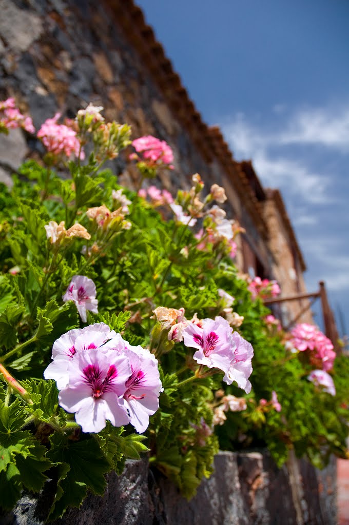 Detalle Museo Casa El Capitán. San Miguel de Abona - Tenerife Sur by Turismo San Miguel de Abona. Tenerife Sur