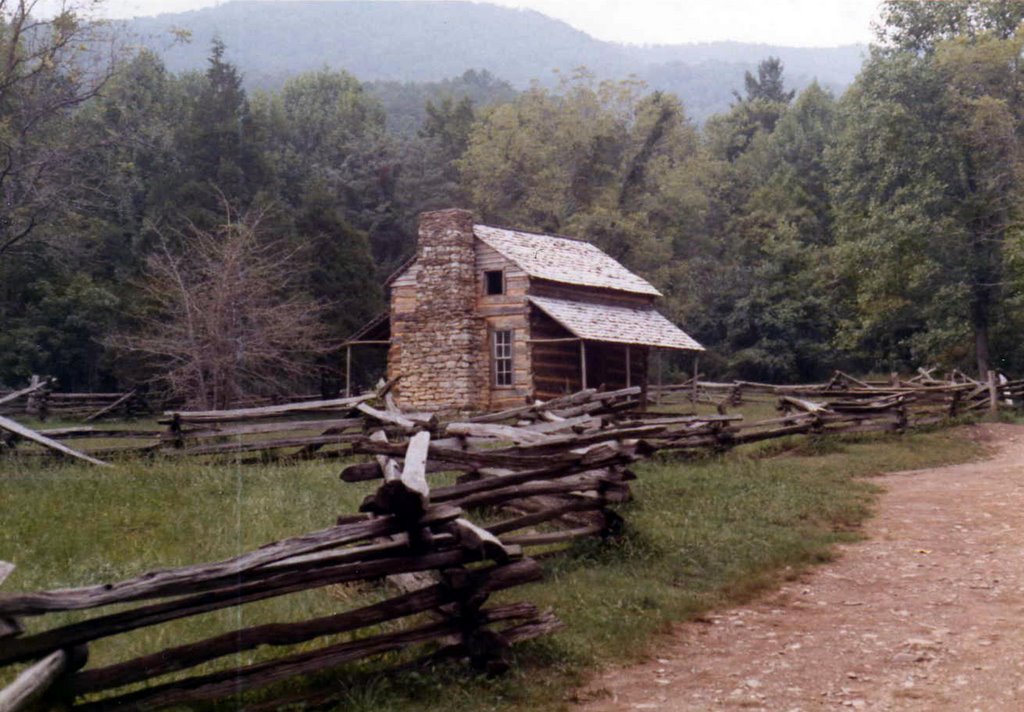 House in Cades Cove by H.D.Pat