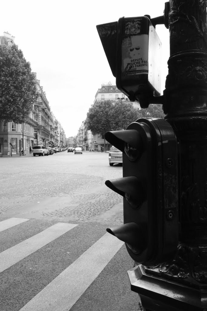 Paris Crossroad by Radisav