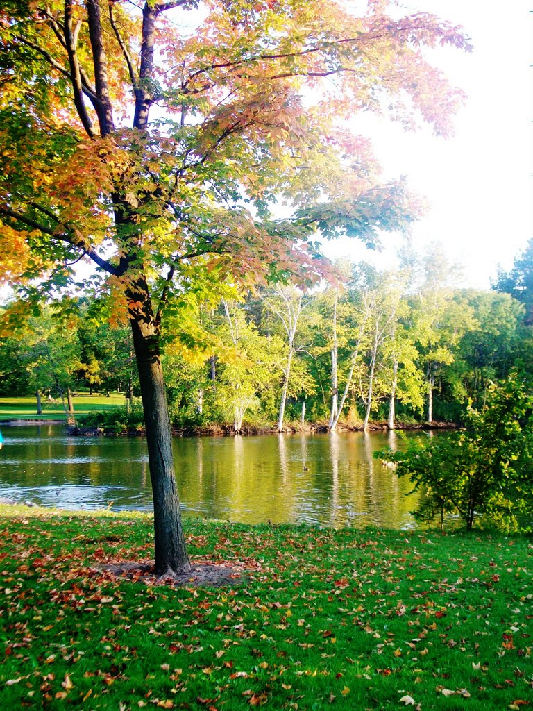 Greenfield Park colors,West Allis by ljube.le