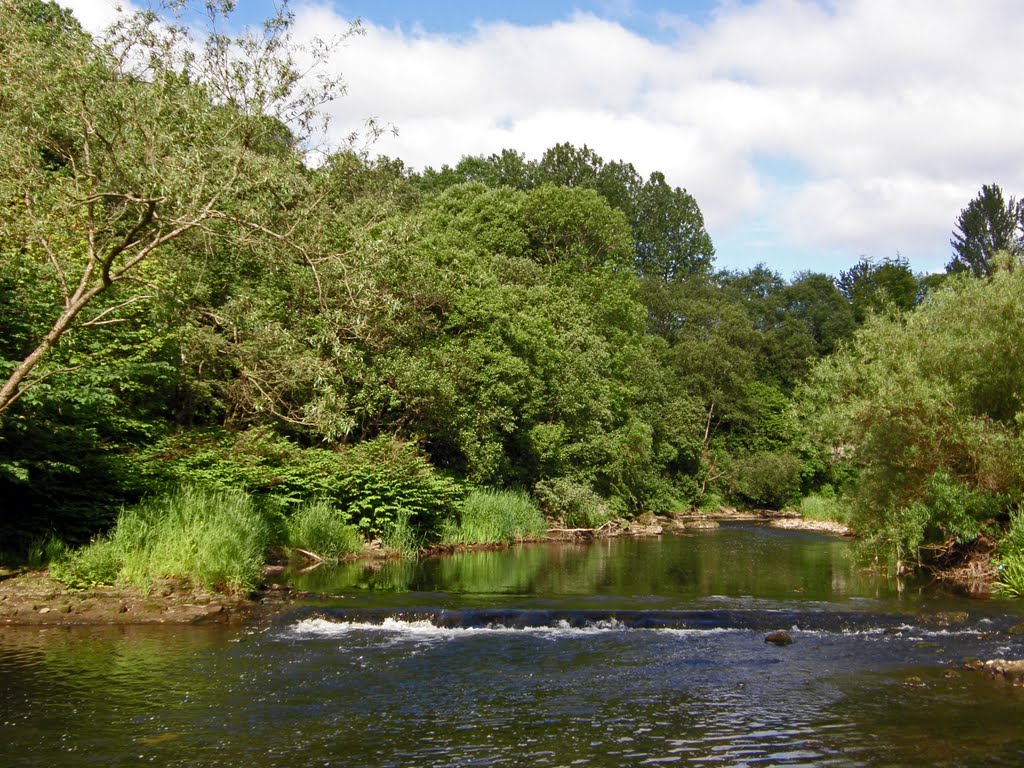 River Kelvin by © Douglas MacGregor