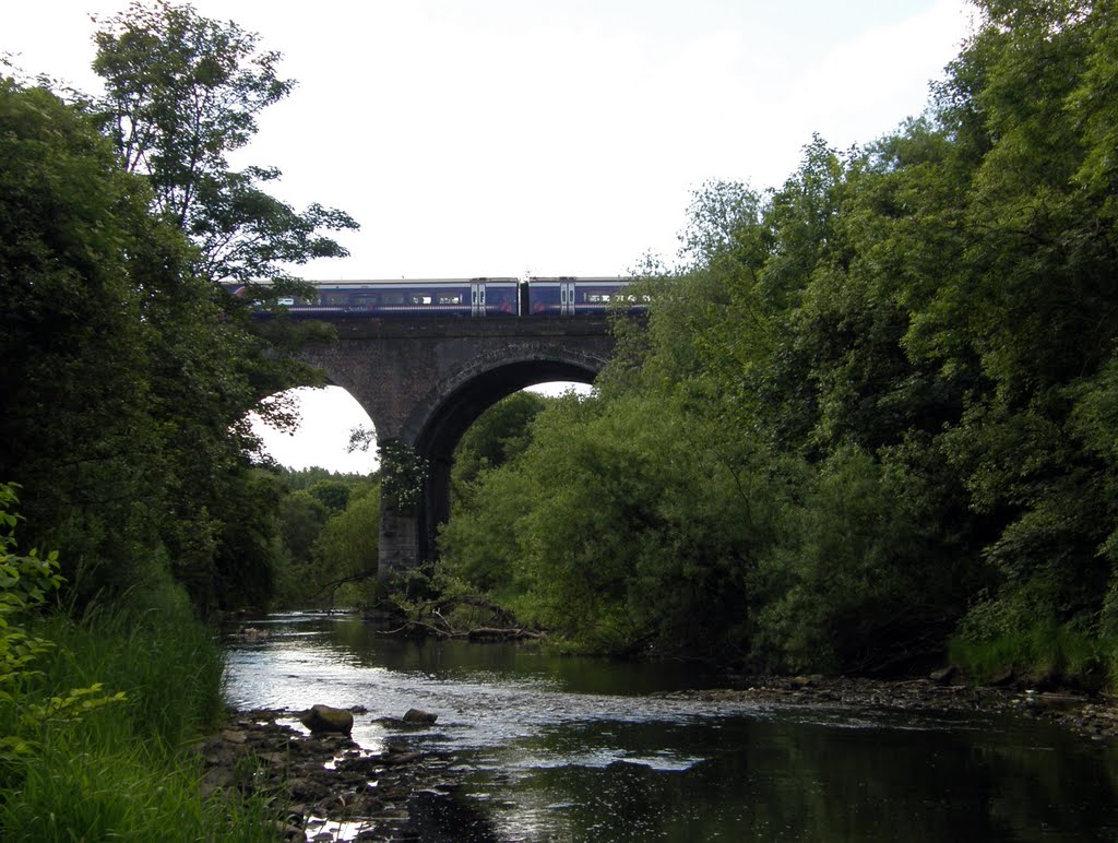 Train crossing the Kelvin by © Douglas MacGregor