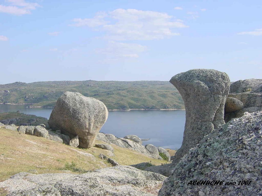 Riberas del Tajo, Las Jaras by P. Delgado