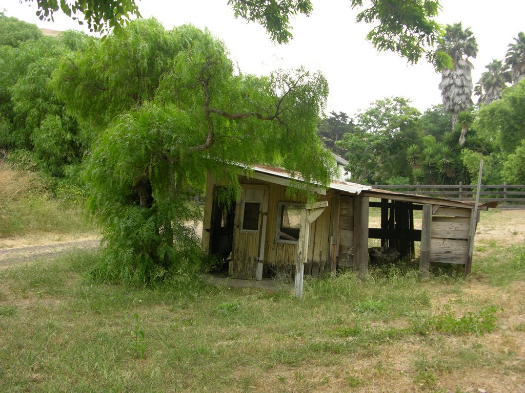 old shack by Jason Doss