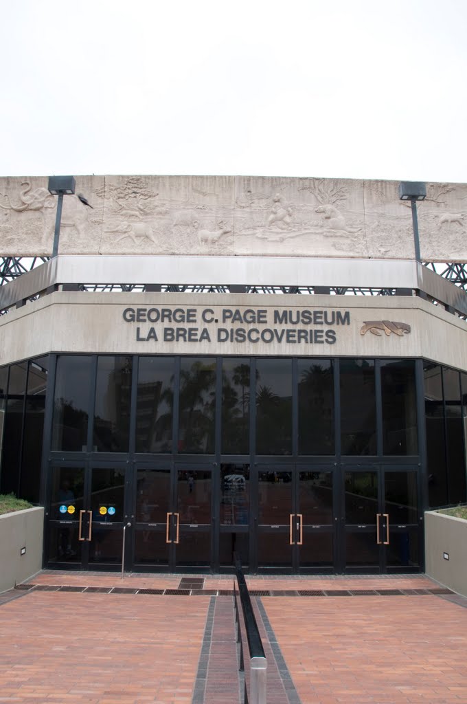 La Brea Tar Pits by NateG