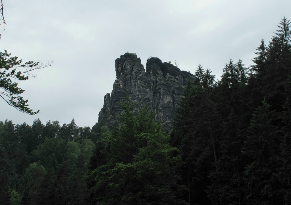 Saxon Switzerland National Park by gezginruh