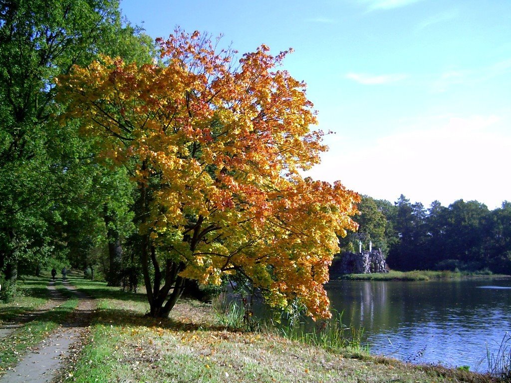 Wörlitzer Park by V. Kunze