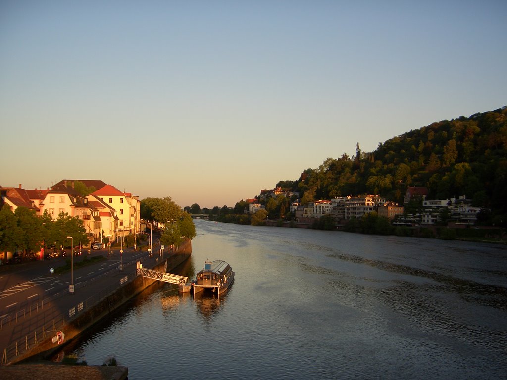 Heidelberg am Morgen (02) by der.hannes