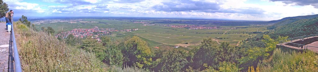 Panoramablick vom Schloß by Fledermaus