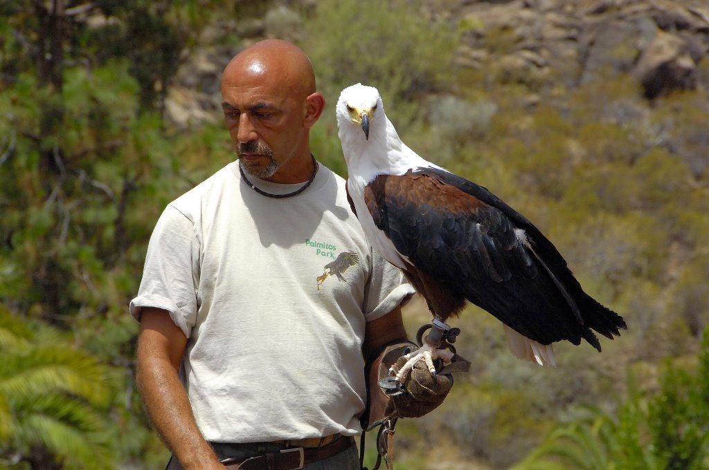 Gran canaria by hendrik van wijk