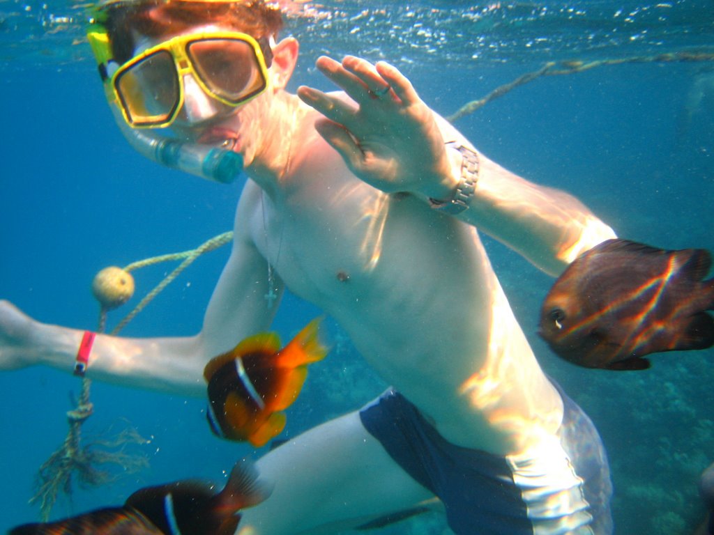 Makadi snorkeling! by Mikkey