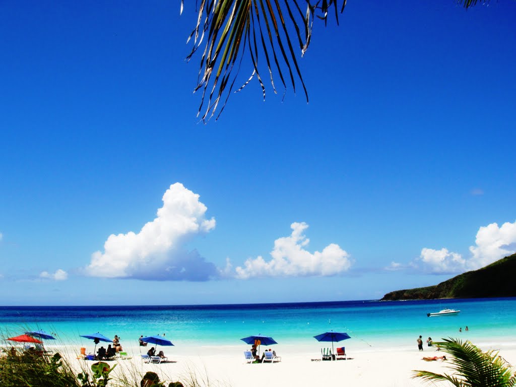 Playa Flamenco Culebra, Puerto Rico by Odarissa 