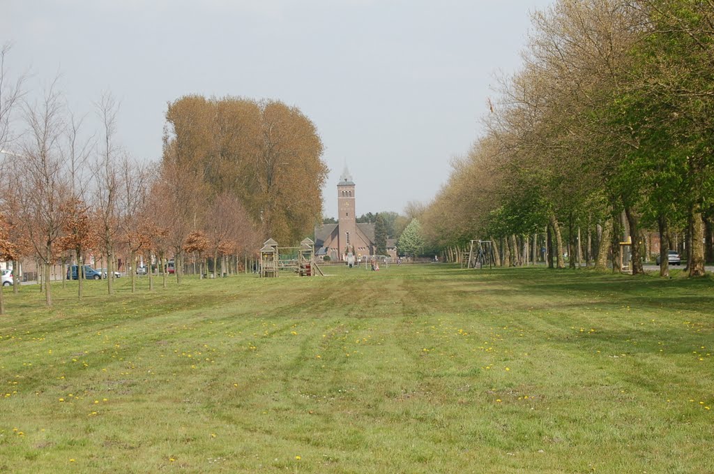 Doornzeledries met kerk by jedewi